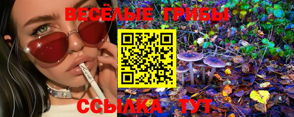 Салехард  Псилоцибиновые грибы Cubensis  Вход с VPN 